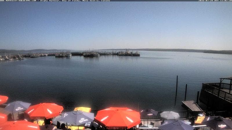 Digby Harbour