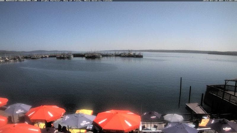 Digby Harbour