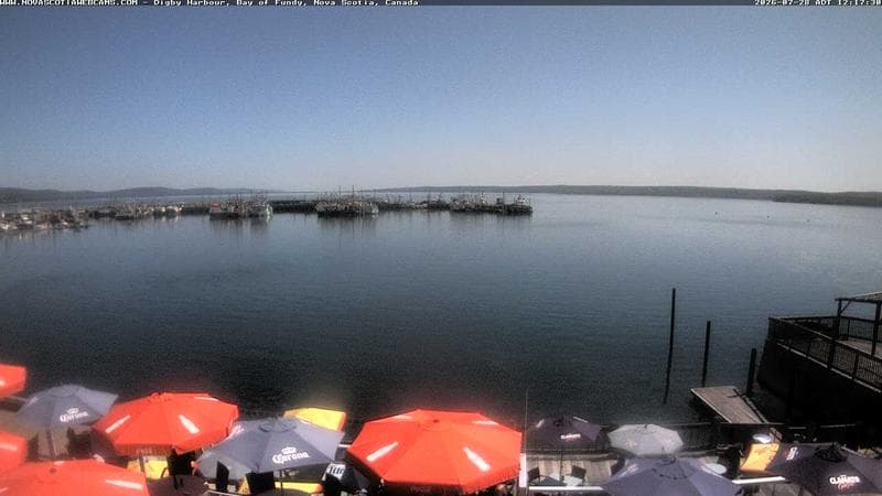 Digby Harbour