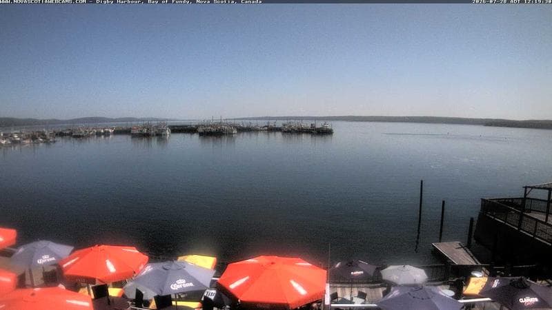 Digby Harbour