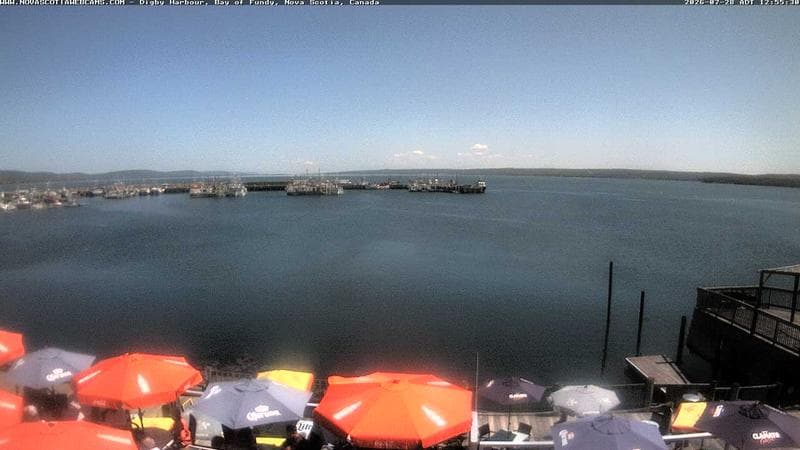 Digby Harbour