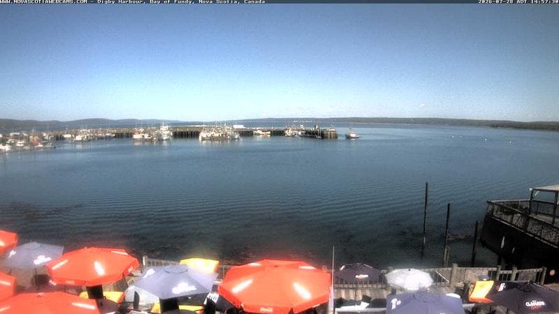 Digby Harbour