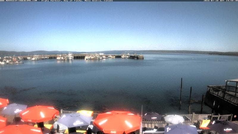 Digby Harbour