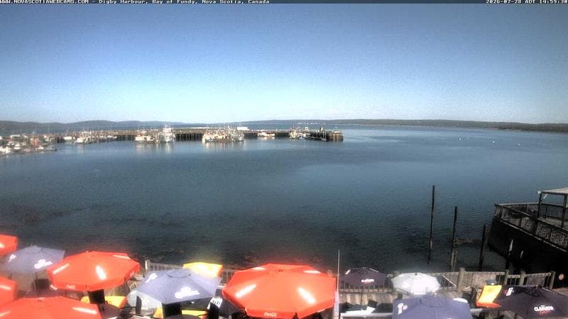Digby Harbour