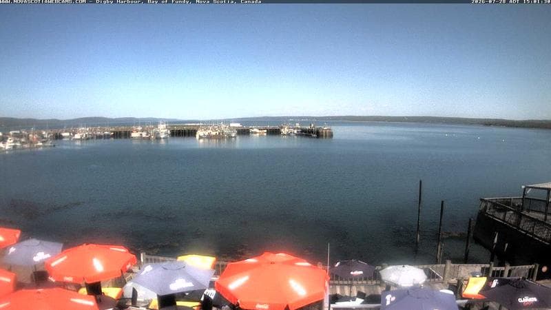 Digby Harbour