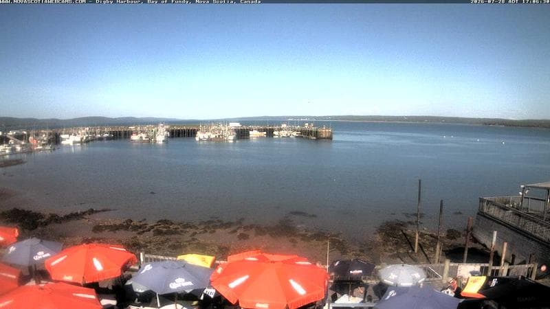 Digby Harbour