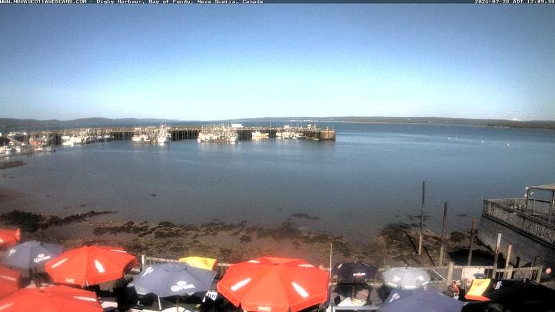 Digby Harbour