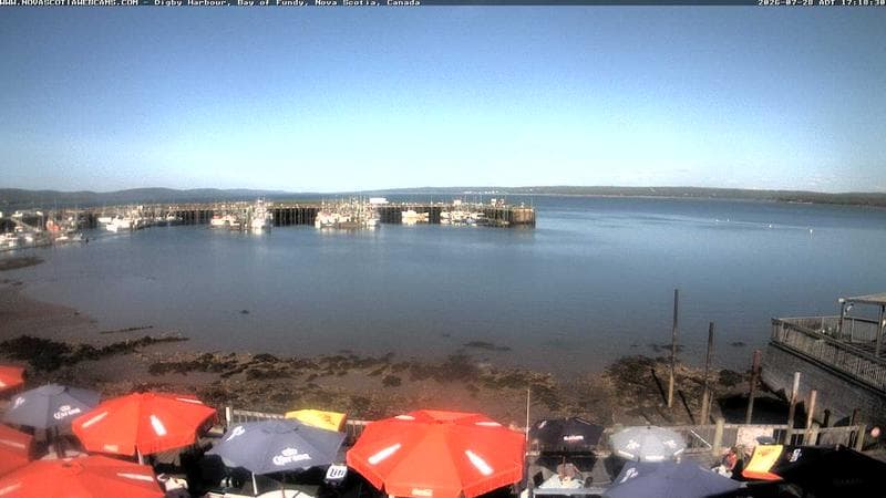 Digby Harbour
