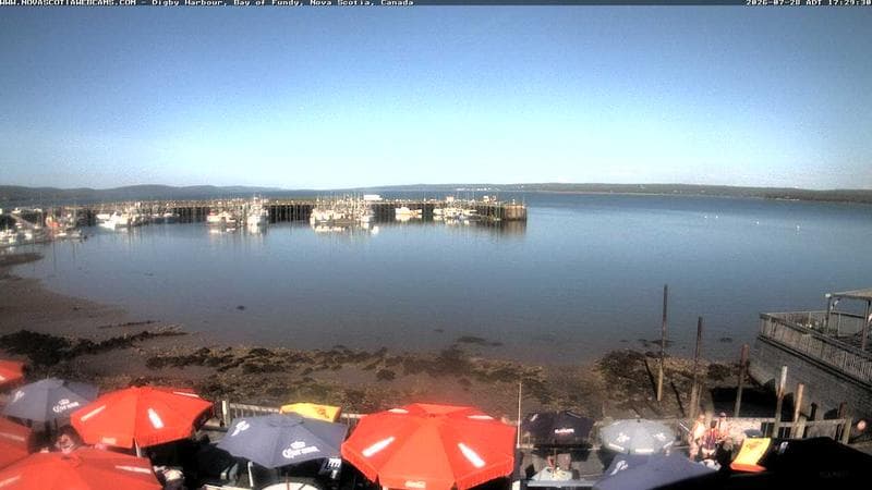 Digby Harbour