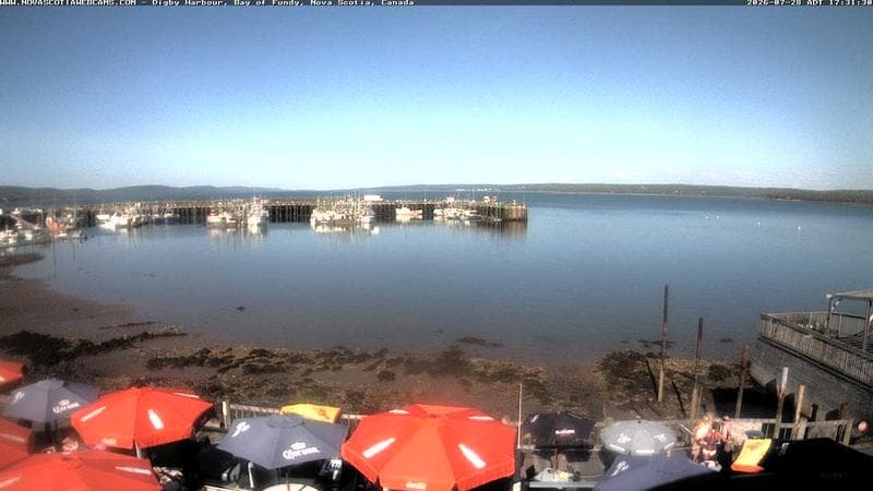 Digby Harbour