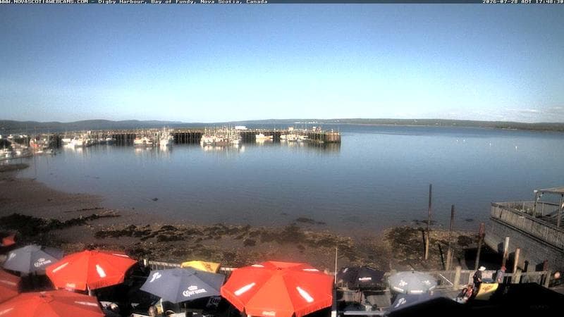 Digby Harbour
