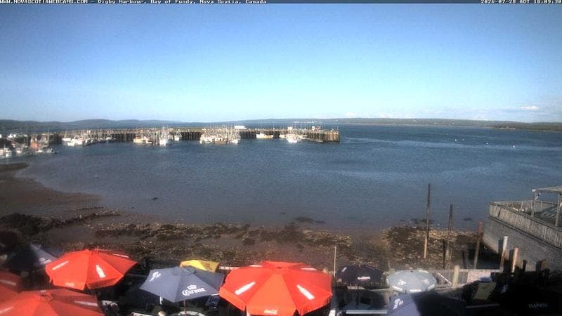 Digby Harbour