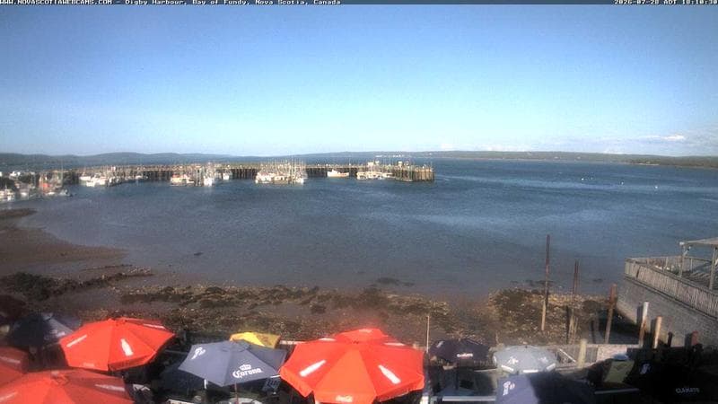 Digby Harbour