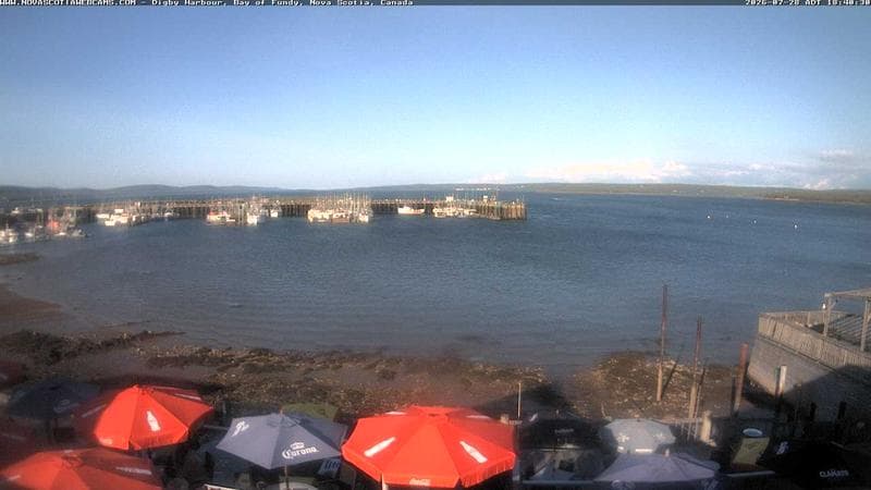 Digby Harbour