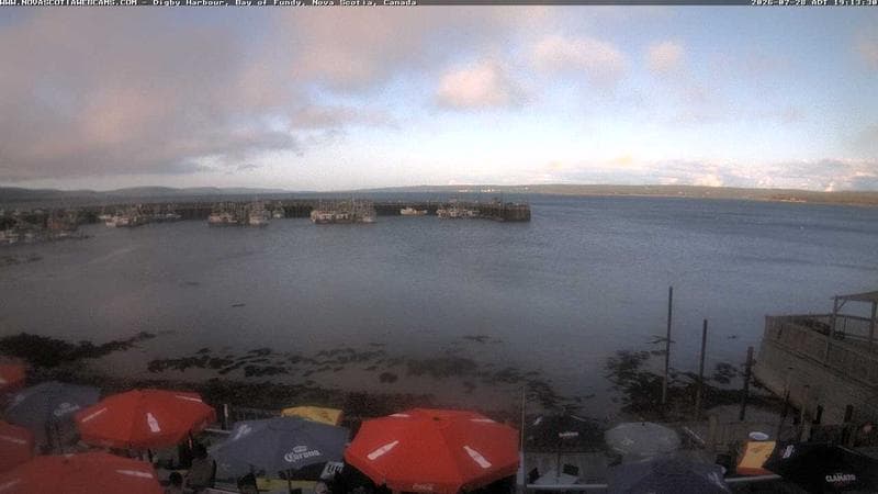 Digby Harbour