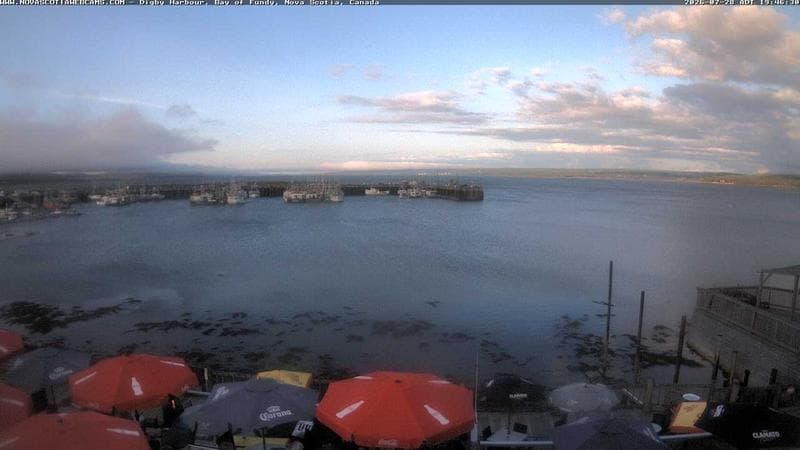 Digby Harbour