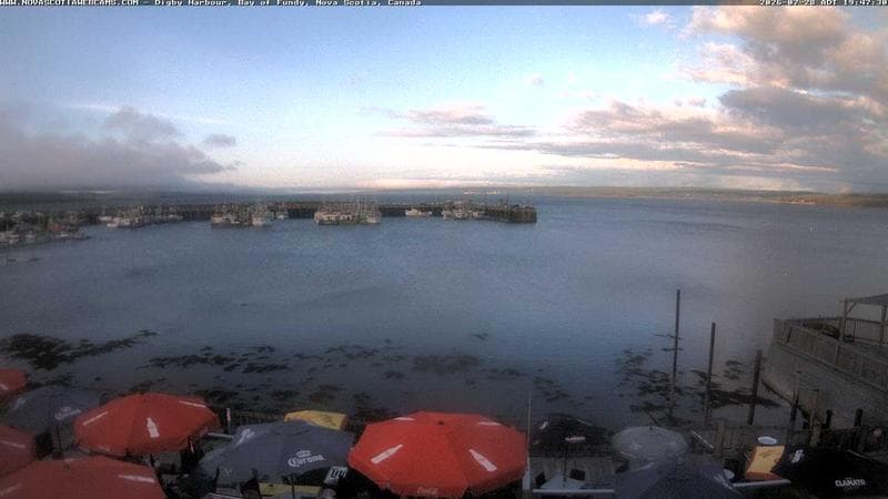 Digby Harbour