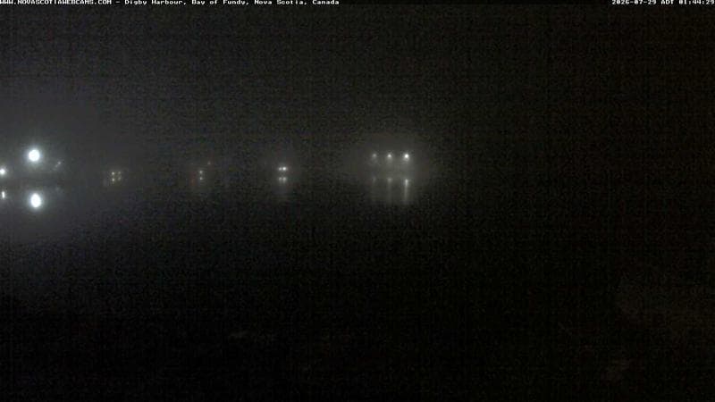 Digby Harbour