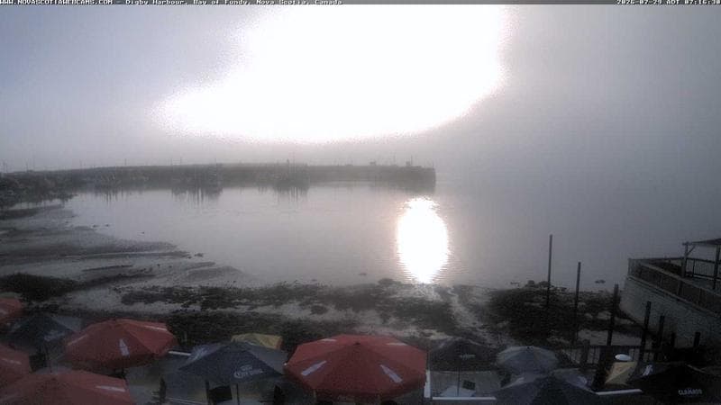 Digby Harbour