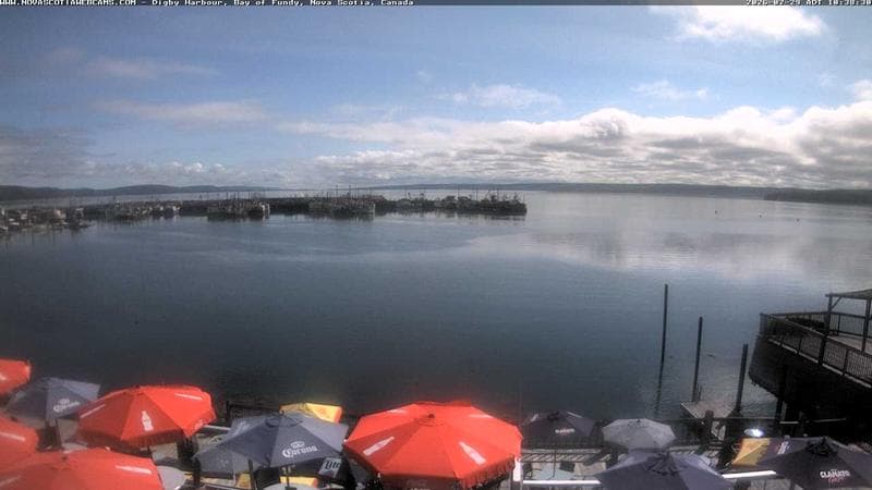 Digby Harbour