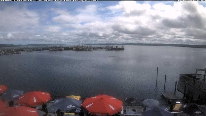 Digby Harbour