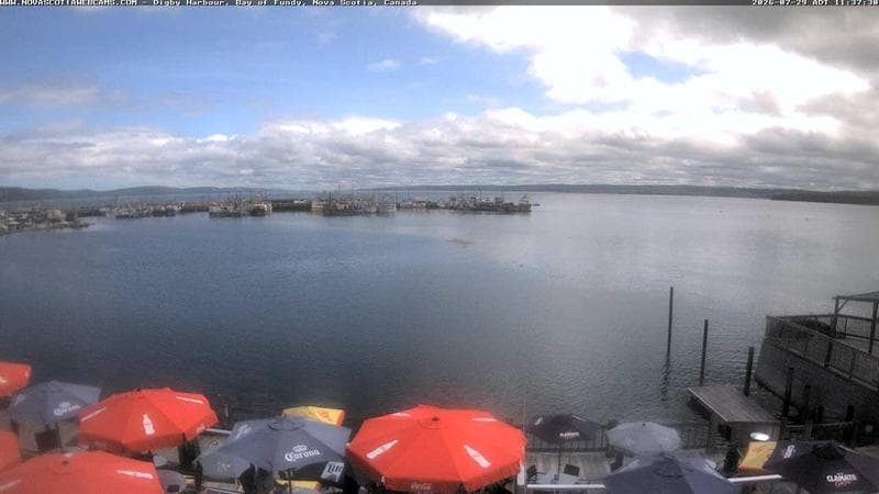 Digby Harbour