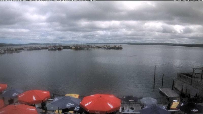 Digby Harbour