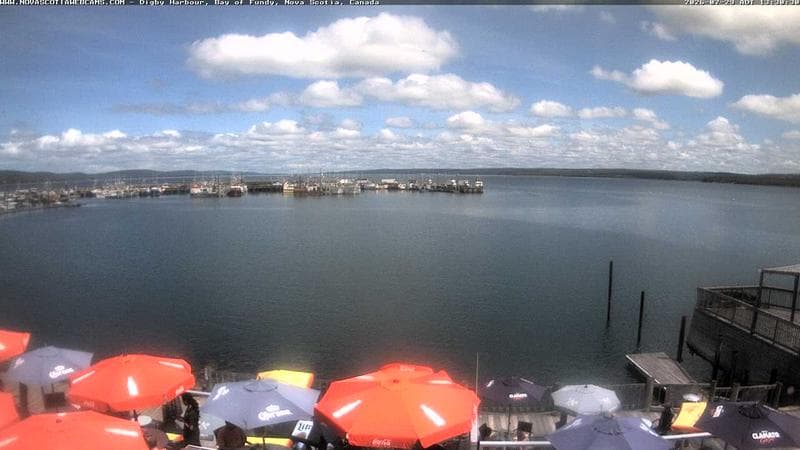 Digby Harbour