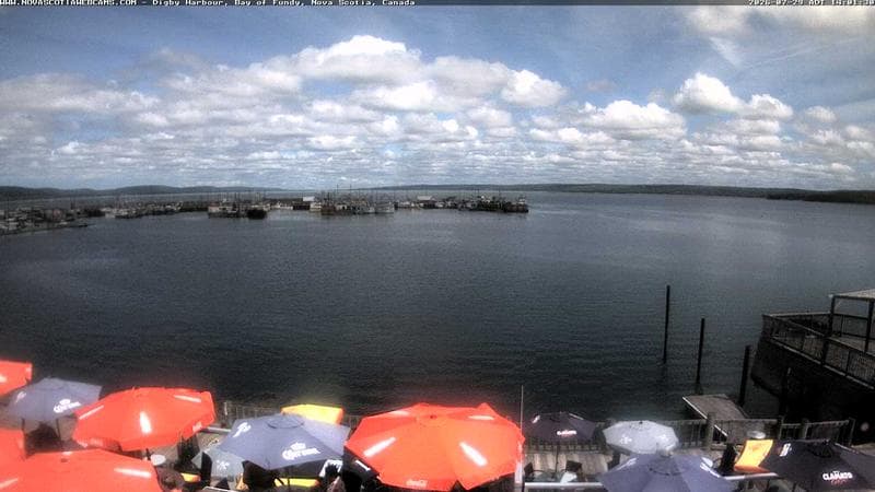 Digby Harbour