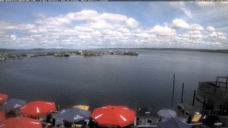 Digby Harbour