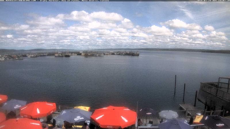 Digby Harbour