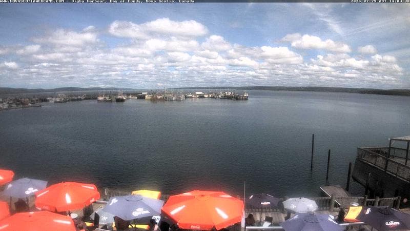 Digby Harbour