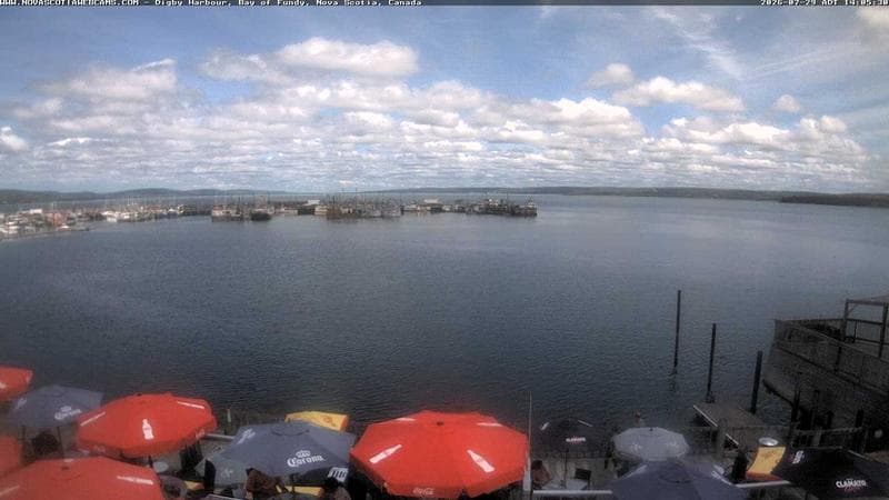 Digby Harbour