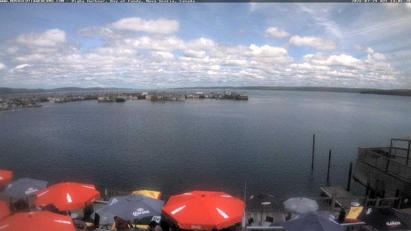 Digby Harbour