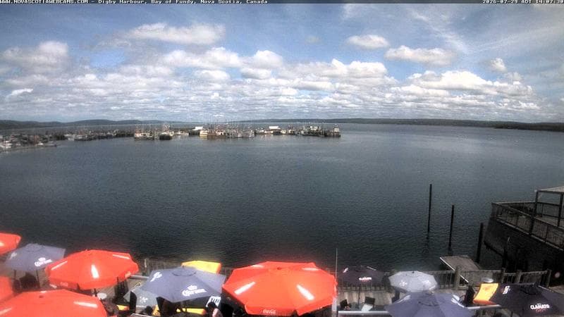 Digby Harbour