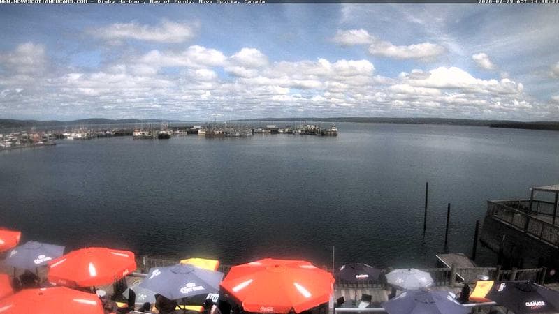 Digby Harbour