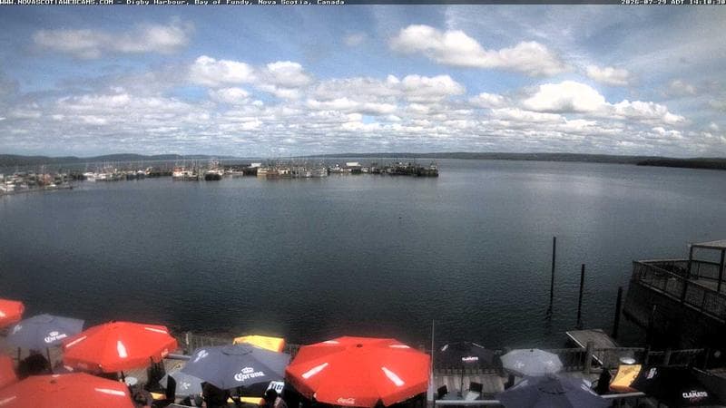 Digby Harbour