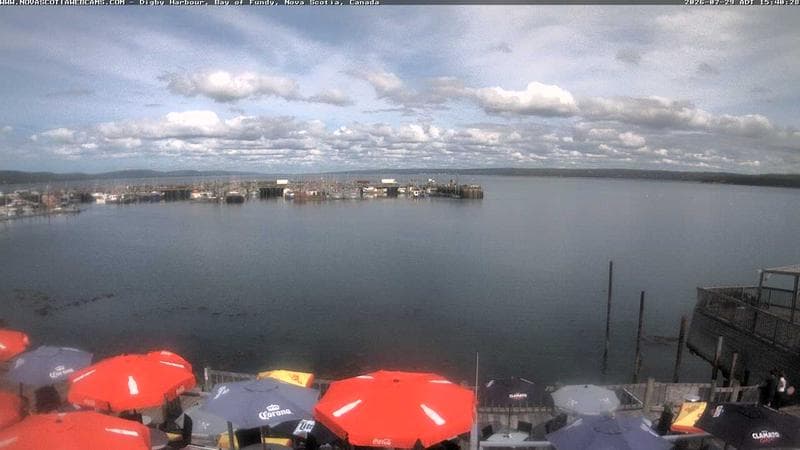 Digby Harbour