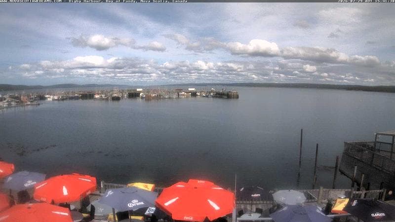 Digby Harbour