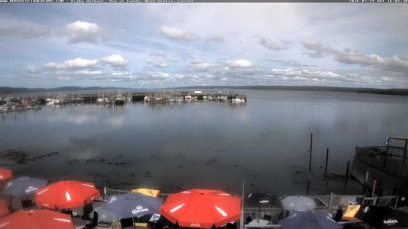 Digby Harbour