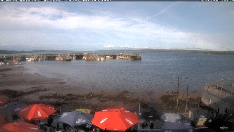 Digby Harbour