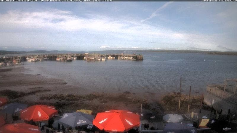 Digby Harbour
