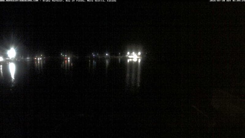 Digby Harbour