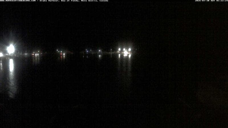 Digby Harbour