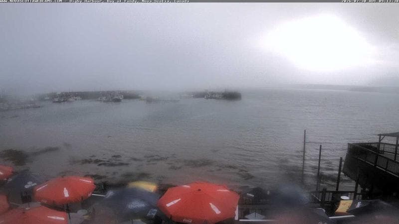 Digby Harbour