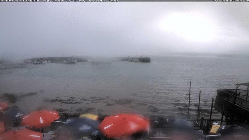 Digby Harbour
