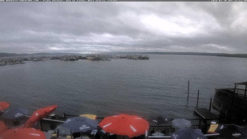 Digby Harbour