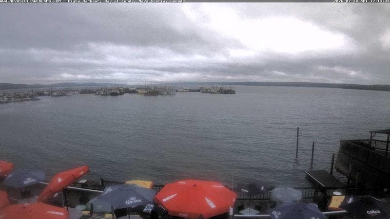 Digby Harbour