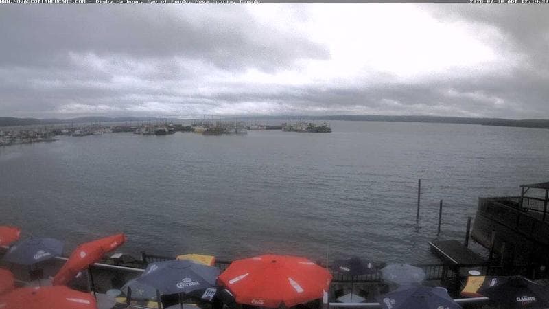 Digby Harbour