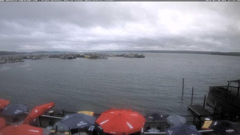 Digby Harbour